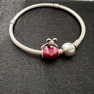 Mickey Mouse Disney World  Pandora Bracelet